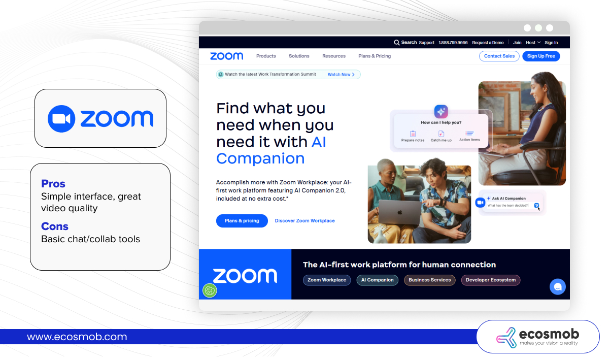 Zoom